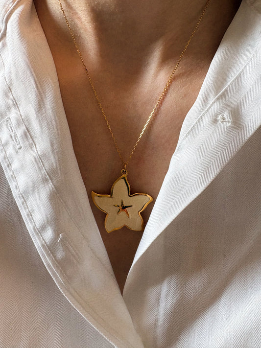 Zawieszka rozgwiazda Napier + gratis łańcuszek Monet