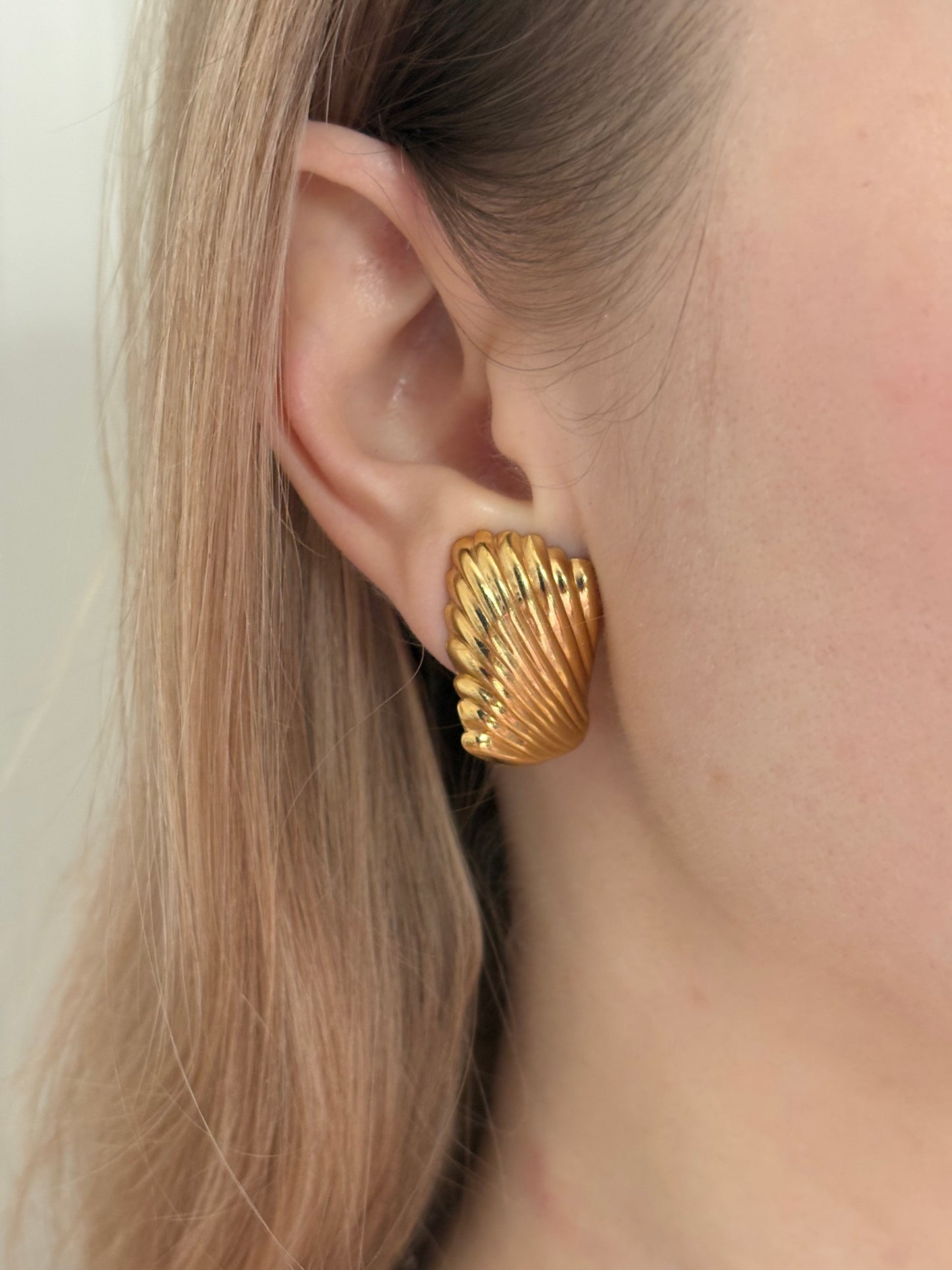 Napier Shell Clips, lightweight