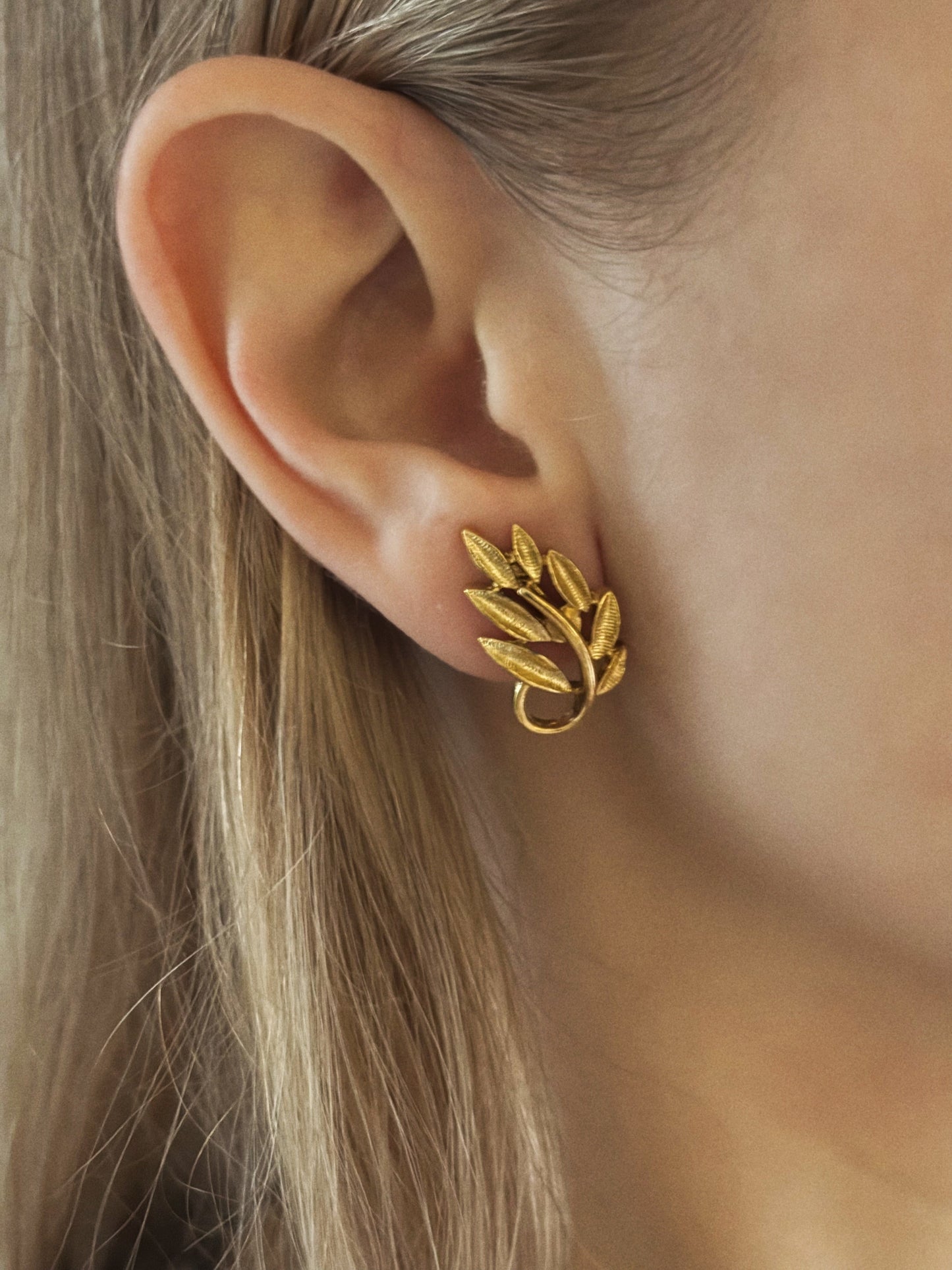 Napier gold-plated leaf motif clip earrings